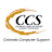 CCS IT Pros (Colorado Computer Support)