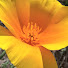k2tXHRF9gpw-channel-avatar-The beauty of the wild