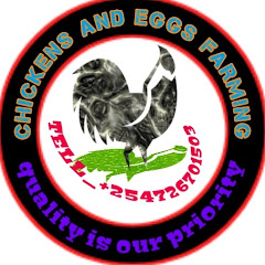 CHICKEN'S AND EGG'S FARMING