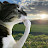@Guilherme0477