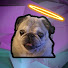 _Z1uHpwfLRs-channel-avatar-CrazyBean
