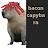@Baconcapybara