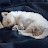 @태희TV-j7l