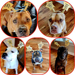 The Battle Family Dogs of Doom! net worth