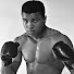 DLWtWs1pRIU-channel-avatar-Below The Belt Boxing