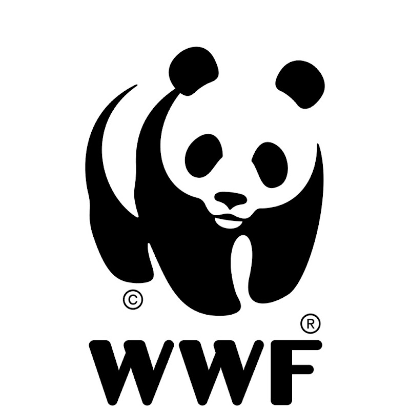 WWF Cities