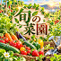 wN9Rolt6xzo-channel-avatar-旬の菜園