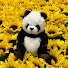 mV2rTiSAkvU-channel-avatar-mofumofu panda