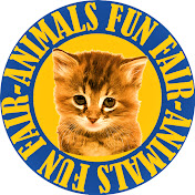Animals Fun Fair