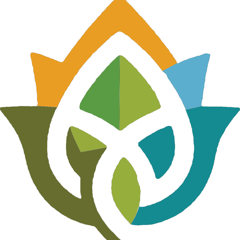 Roots Muslim School