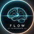 tHwLaqfDWxo-channel-avatar-Flow Mindscape