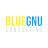 Blue Gnu Consulting