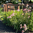 MOSPd1EFIZc-channel-avatar-A Garden for Birds