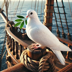 A White Pigeon Journey