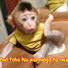 nWsBm_1_wCA-channel-avatar-Family LiBi
