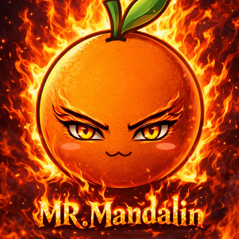 MR.Mandalin