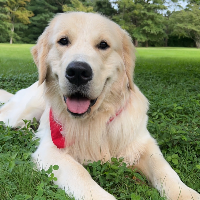 Oakley's Big Adventures