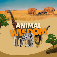 Animal Wisdom