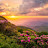 @stayhappystayblessed7823