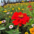 Channel Image