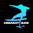 -2nr1S6ZjlQ-channel-avatar-Verdant Ride - eFoil News, Reviews & Advice