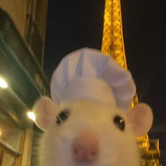김네모 némo