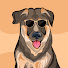 US1it7zjmvs-channel-avatar-COOL PETS