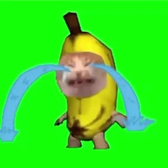 パチプロ猫の日常