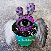 amethyst _cactus87