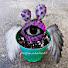 GIEsO201CqQ-channel-avatar-amethyst _cactus87
