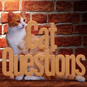 Cat Questions