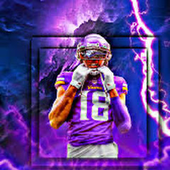 Vikings fan 1818