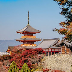 东洋咖啡屋アイコン画像