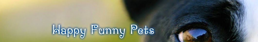 Happy Funny Pets यूट्यूब चैनल अवतार