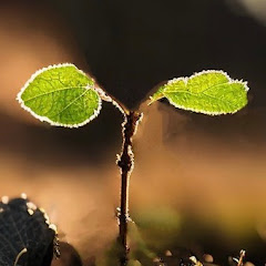 暮らしのエンタメチャンネル