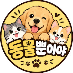 이현그림