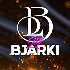 Lil Bjarki net worth