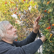 The Wild Food (Lukasz Luczaj)