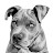 @UndecidedDog's avatar