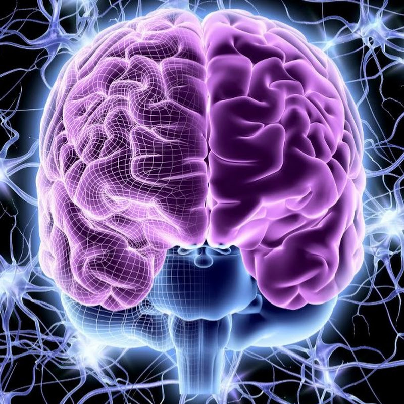 trivia_quiz_questions