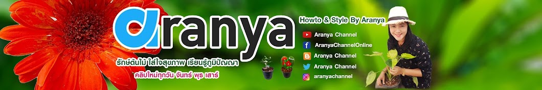 Aranya Channel Аватар канала YouTube