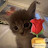 @piter2137xd
