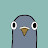 @Pigeon_learnstofly