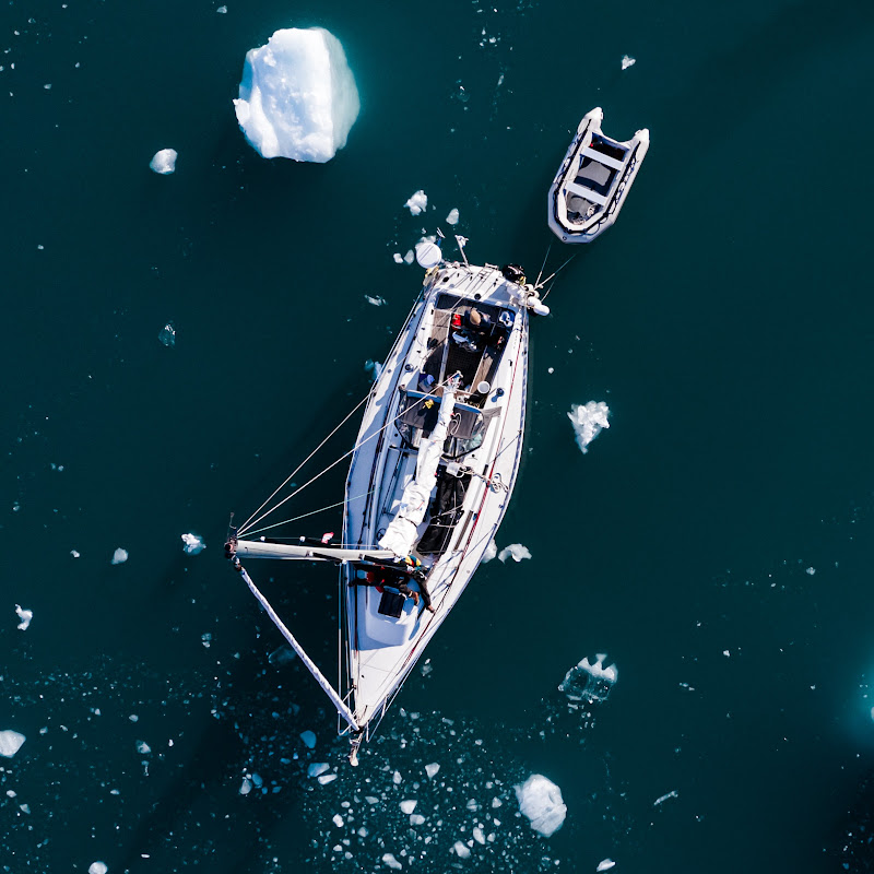 Alluringarctic