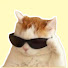 PyVaRbi5vmg-channel-avatar-Simply Fried