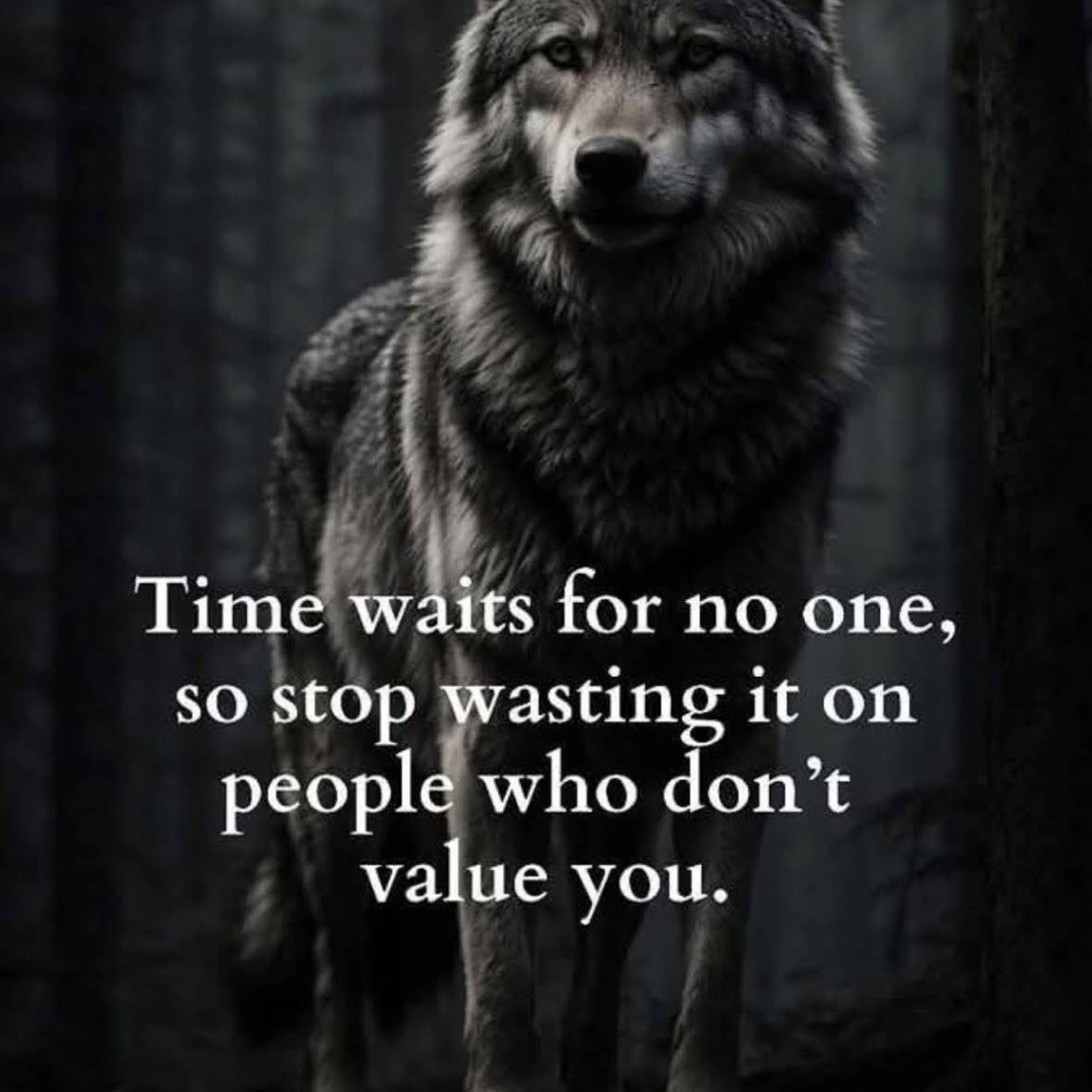Post from Wolf Mindset