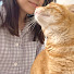 WcPQJBkRIn0-channel-avatar-Soft Paws in Japan