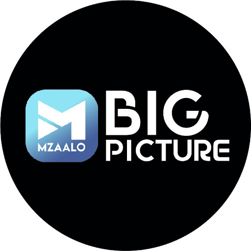 Mzaalo Big Picture