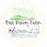 g9hHDznDAP4-channel-avatar-Our Vision Farm