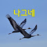 2v1kVlyOAVg-channel-avatar-나그네의 탐조여행